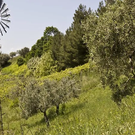 Bioagriturismo La Quercia *