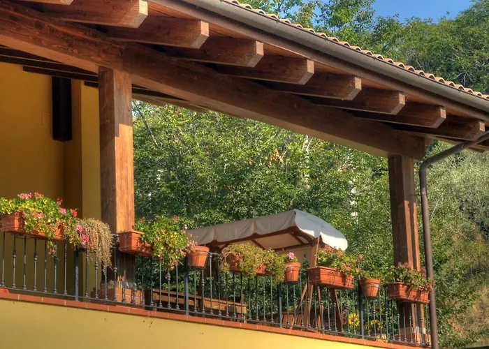 Agroturismo Bioagriturismo La Quercia Silvi Paese